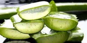 Organic Aloe Vera Gel