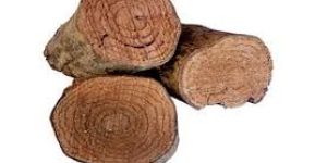 Salacia Root Extract Powder