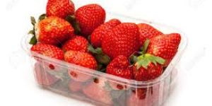 Strawberry Packaging Trays