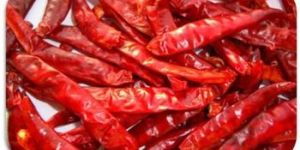 Chilly Teja Stemless