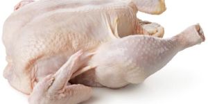 Frozen Chicken Meat