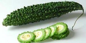 Bitter Gourd