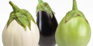 Brinjal