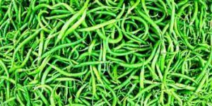 Green Chilly