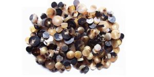 Ox Horn Buttons
