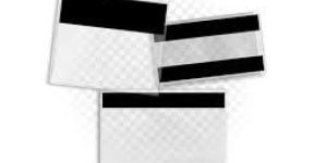 Printed Vinyl Zipper Pouch