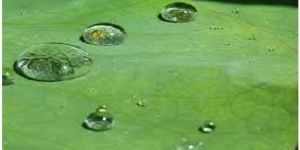 Heat Sealability Latex for Paper