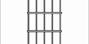 Rectangular Wire Mesh