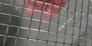 Welded Stainless Steel Wire Mesh