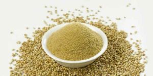 WHOLE SPLIT CORIANDER SEEDS