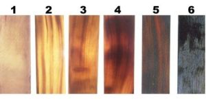 Horn Form Optical Plates