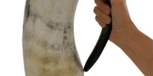 Viking Drinking Horn Cup