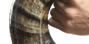 VIKING DRINKING HORN MUG
