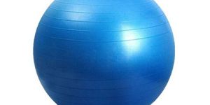Physio Ball Gym Ball