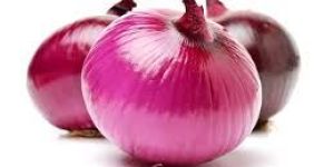 Fresh Onion