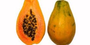 Fresh Papaya