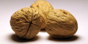 Shelled Walnuts