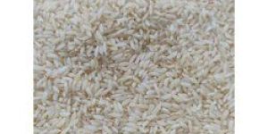 Sona Masoori Steam Rice