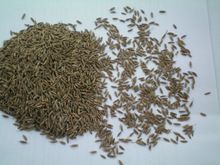 Cumin Seeds