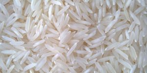 White Rice