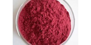 Prickly Pear Fruit Powder