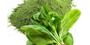 Spinach Powder