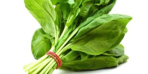 Fresh Spinach