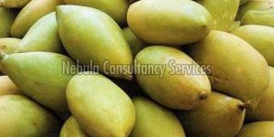 Fresh Totapuri Mango