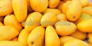 Fresh Yellow Mango
