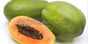 Papaya