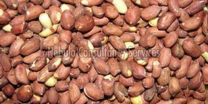 Roasted Groundnut Kernels