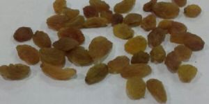 NASIK AAA Grade Golden Raisin
