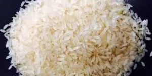 Swarna Basmati Rice