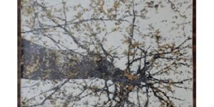 Elegant Design Wool Viscose Rug