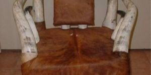 Horn Chair