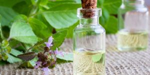 Holy Basil Essential Oil