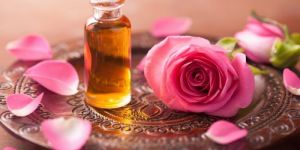 Rose Essential Oil