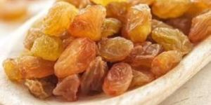 Indian Raisins