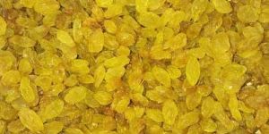 Organic Golden Raisins