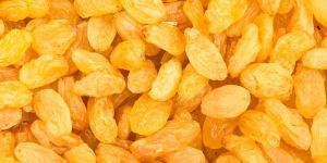 Organic Yellow Raisins