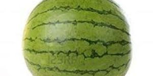 Fresh Watermelon