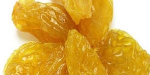 Golden Raisins