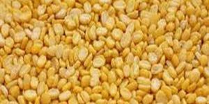 Yellow Moong Dal