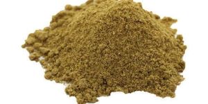 Organic Coriander Powder