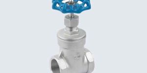 Stainless Steel Gate Valve