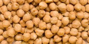 Indian White Chickpeas