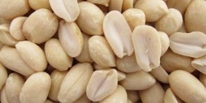 Blanched Peanuts