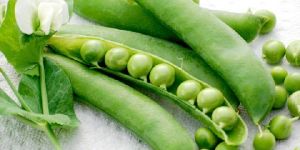 Fresh Green Peas