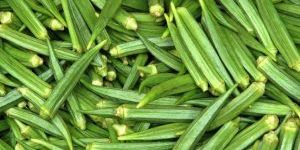 Fresh Okra