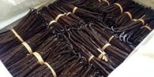 Vanilla Beans